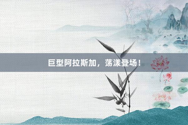 巨型阿拉斯加，荡漾登场！
