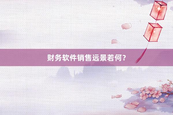 财务软件销售远景若何？